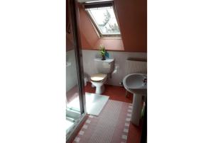 een kleine badkamer met een toilet en een raam bij Sunflower Bed & Breakfast in Findhorn