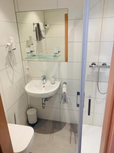 a bathroom with a sink and a toilet and a shower at Landgasthaus Jägerhof in Büren