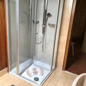 a shower with a glass enclosure in a bathroom at Ferienstudios Weindl in Sankt Englmar