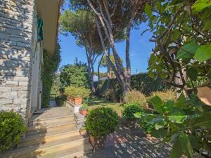 a house with a garden with trees and stairs at Holiday Home Madda by Interhome in Lido di Camaiore