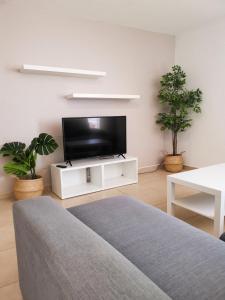 een woonkamer met een televisie en twee potplanten bij La Clavellina in Corralejo