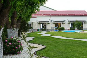 a garden with a rock pathway and a pool at Neferprod Apartments - IS - CAM 06 in Timişoara