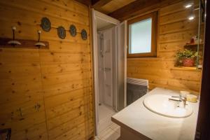 La salle de bains est pourvue d'un lavabo et d'une douche. dans l'établissement Chalet Anemone, à Soultzeren