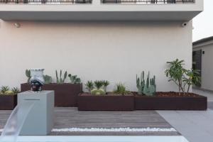 Giafra Luxury Rooms外面的花园