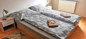 2 letti in una camera da letto con scarpe di Penzion Kolovna a Dobrá
