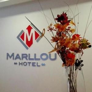 Certifikát, hodnocení, plakát nebo jiný dokument vystavený v ubytování Hotel Marllou