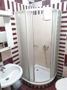 a bathroom with a shower and a sink at Villa Gurman 024 in Bačka Topola