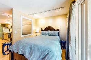 a bedroom with a large bed with blue sheets at Happy Thoughts in Telluride
