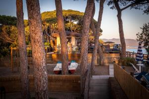 a house with palm trees in front of the ocean at La Madonnina Village Resort in Follonica