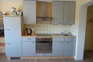 Kuchyň nebo kuchyňský kout v ubytování Ferienwohnung Woelfel