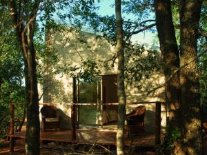 a house in the middle of the forest at Umkhumbi Lodge in Hluhluwe