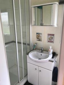 a bathroom with a sink and a shower at Mobilheim Loučná nad Desnou in Loučná nad Desnou