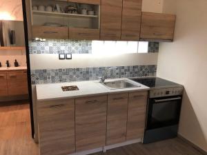 Kuchyň nebo kuchyňský kout v ubytování Ambelakia Bungalow