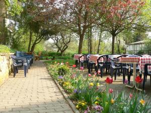 Zahrada ubytování Hotel Ebner