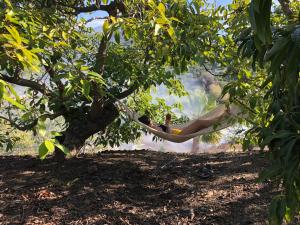 Ảnh trong thư viện ảnh của Villa Sunshine Countryside Resort ở Frigiliana