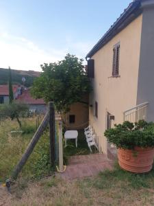a house with two chairs and a tree in the yard at Bagni San Filippo Casa gelsomino in Bagni San Filippo