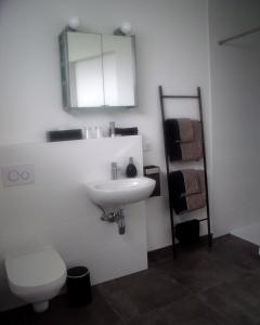 a bathroom with a sink and a toilet and a mirror at Scherer Living in Engabrunn