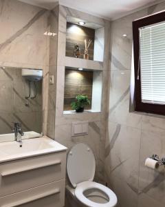 a bathroom with a toilet and a sink at Apartmani Šarović in Tjentište +10 photos