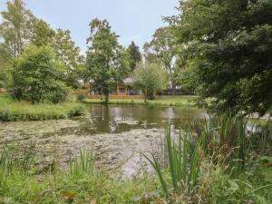 a pond in a park with trees and grass at The Barn in Redditch