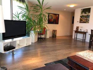 un soggiorno con una grande TV a schermo piatto di Lounge Park Apartment ad Amsterdam