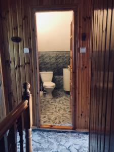 a bathroom with a toilet and a glass door at Zielona Sielanka in Orzyny +66 photos