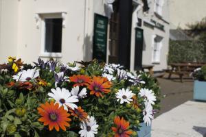 a bouquet of flowers in a blue pot at The Eyre Court in Seaton