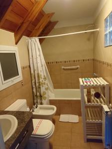 格塞爾別墅的住宿－Apart Agustina，浴室配有卫生间、盥洗盆和淋浴。