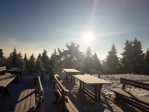 un grupo de mesas de picnic y bancos en la nieve en Fichtelberghütte, en Kurort Oberwiesenthal