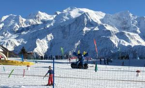 Gallery image of Fizhome Mt Blanc in Passy