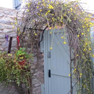 a blue door in a garden with flowers at Frog Palace - Secure Parking-Outside Area-Topsham-Exeter-Beach-Chiefs-WiFi in Topsham