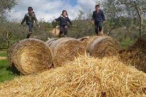 a group of people jumping over a pile of hay at Villa Rossi in Enna