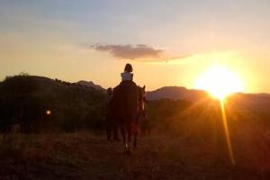 una persona che cavalca un cavallo di fronte al tramonto di Villa Rossi a Enna