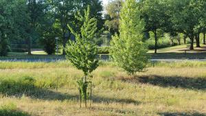 Giardino di Logies bij Wandelpad te Holten