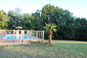 a palm tree next to a deck with a pool at Gîte La grave haute sud in Mauzac-et-Grand-Castang