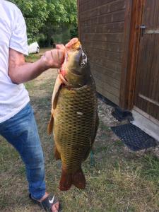 un homme tenant un gros poisson dans sa main dans l'établissement Gîte La grave haute sud, à Mauzac-et-Grand-Castang