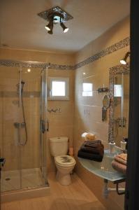 a bathroom with a shower and a toilet and a sink at Gite Ty-Coz in Charly-sur-Marne