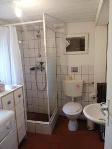a bathroom with a toilet and a shower and a sink at Atelier am Nationalpark in Wickenrodt