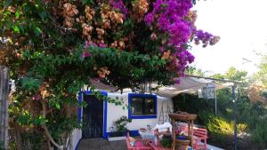 Rosal de la FronteraにあるCASA CON SIERRA Y CON PORTUGALの青い扉と紫の花の家