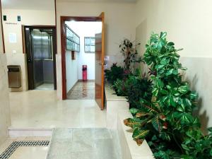 Fotografie z fotogalerie ubytování Sherryflat La Estación - Parking v destinaci Jerez de la Frontera