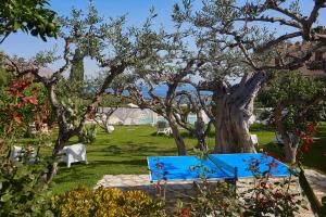 un banco azul sentado bajo un árbol en un patio en Hotel La Tavernetta, en Scopello