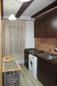 a kitchen with a sink and a washing machine at MSH Rustic apartment - Liars Bridge Sibiu in Sibiu