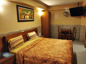 a bedroom with a large bed and a fireplace at Hotel Dia y Noche in Lima