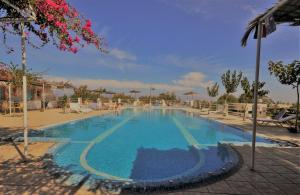 Piscina di Santorini Camping & Hostel o nelle vicinanze