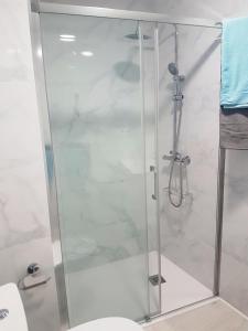 eine Dusche mit einer Glastür in einem Badezimmer in der Unterkunft Barcia 2 in Pontevedra