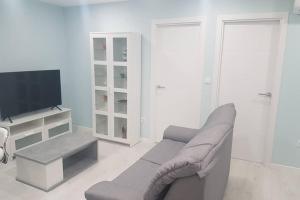 ein Wohnzimmer mit Couch und Fernseher in der Unterkunft Barcia 2 in Pontevedra