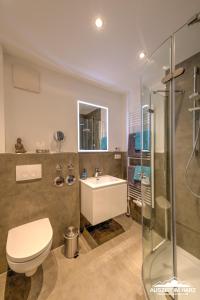 a bathroom with a toilet and a sink and a shower at Ferienloft am Steinweg in Elbingerode +25 photos