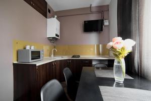 Kuchyň nebo kuchyňský kout v ubytování Aparthotel Na Mytniy