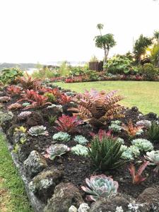 Um jardim no exterior de Baywaterviews