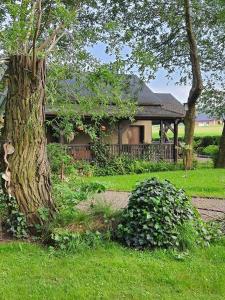 una casa con un árbol delante de ella en Noclegi Wiejski Raj, en Chocieszow