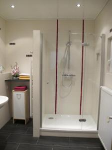 a shower with a glass door in a bathroom at Apartment Horn in Pirna